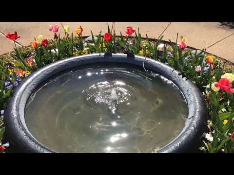 download lagu mp3 mp4 In The Shade Of The Living Light, download mp3 In The Shade Of The Living Light free downloadn, video klip In The Shade Of The Living Light