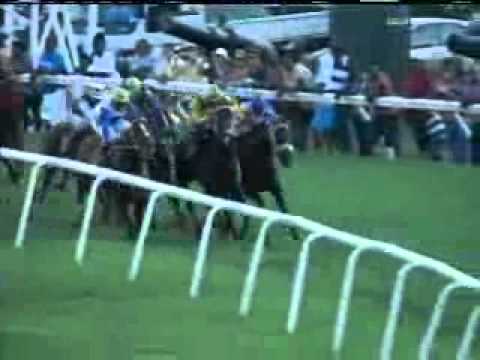 2010 Victor Chandler Stakes- Mingun Temple