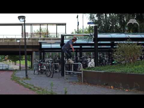 Levi van Rijn - 2013 Summer Profile