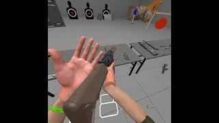 gunworld vr pico4 . Have a great day!