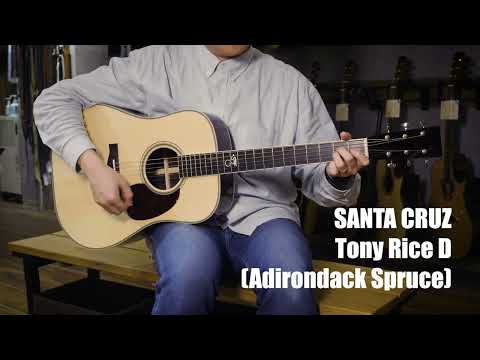 SANTA CRUZ Tony Rice D (Adirondack Spruce)[Demo Video!] image 15