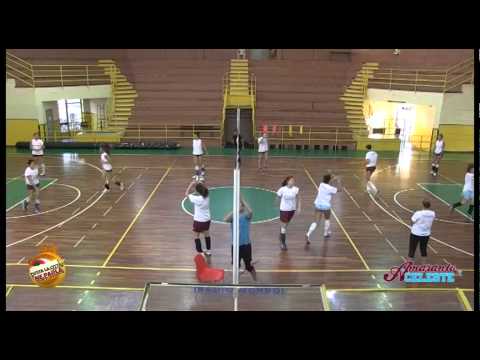 FORTITUDO CITTA' DI RIETI - LE NOVITA'