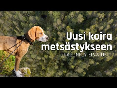 Kalastusta & Kuulumisia — Mitä Julkaisemme Seuraavaksi?