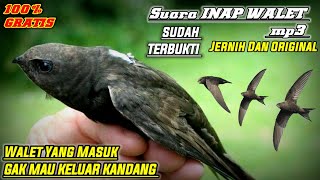 Download lagu SUARA INAP WALET TERbaik SELAMANYA | Sudah Terbukti mp3 Download lagu SUARA INAP WALET TERbaik SELAMANYA | Sudah Terbukti mp3