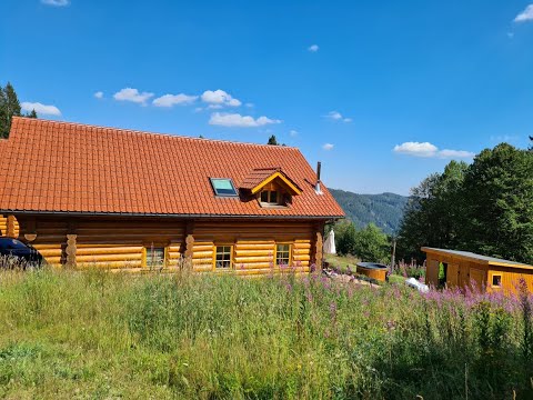 Feldberg Blockhaus Chalet Ferienhaus Schwarzwald