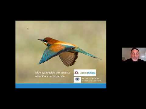 Taller de Sensibilización "Bases Anatómicas y Biológicas para la Observación de las Aves". Parte 1. Teoría