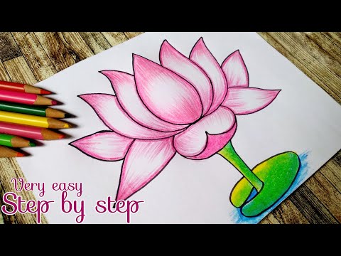 Step By Step Lotus Drawing Tutorial