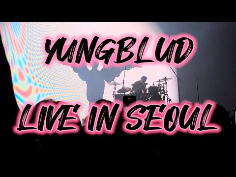 현장 분위기 미쳐버린 영블러드 내한 공연 | 231029 YUNGBLUD LIVE IN SEOUL (Yes24 Live hall)