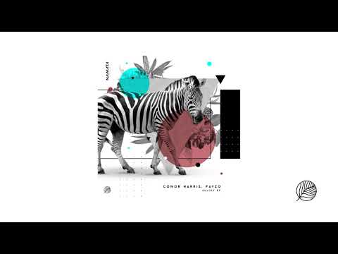 Conor Harris, Pavzo - Only You (Original Mix)