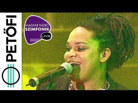 Irie Maffia - Busaman, Pretty Little Song és Bloodshot Eyes (Szimfonik Live 2.0)