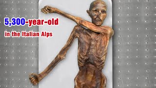 Ötzi The Iceman Mummy Was Bald And Had Surprisingly Dark Skin, Akara Archeology