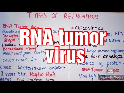 RNA tumor virus | Type of Retroviruses | Retroviruses| Biology |  Study With Sadia