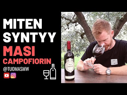 MITEN SYNTYY MASI CAMPOFIORIN?