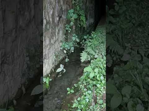 😱 Entramos al túnel más misterioso de Antioquia 🇨🇴🚂