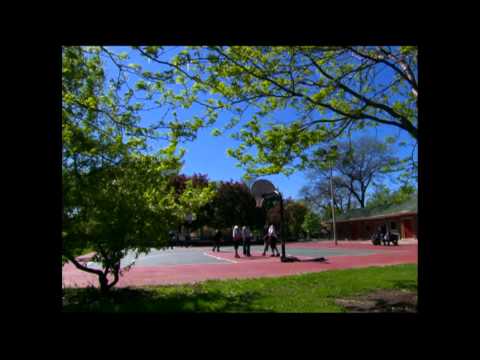 Chicago Roots: Dwyane Wade and Derrick Rose