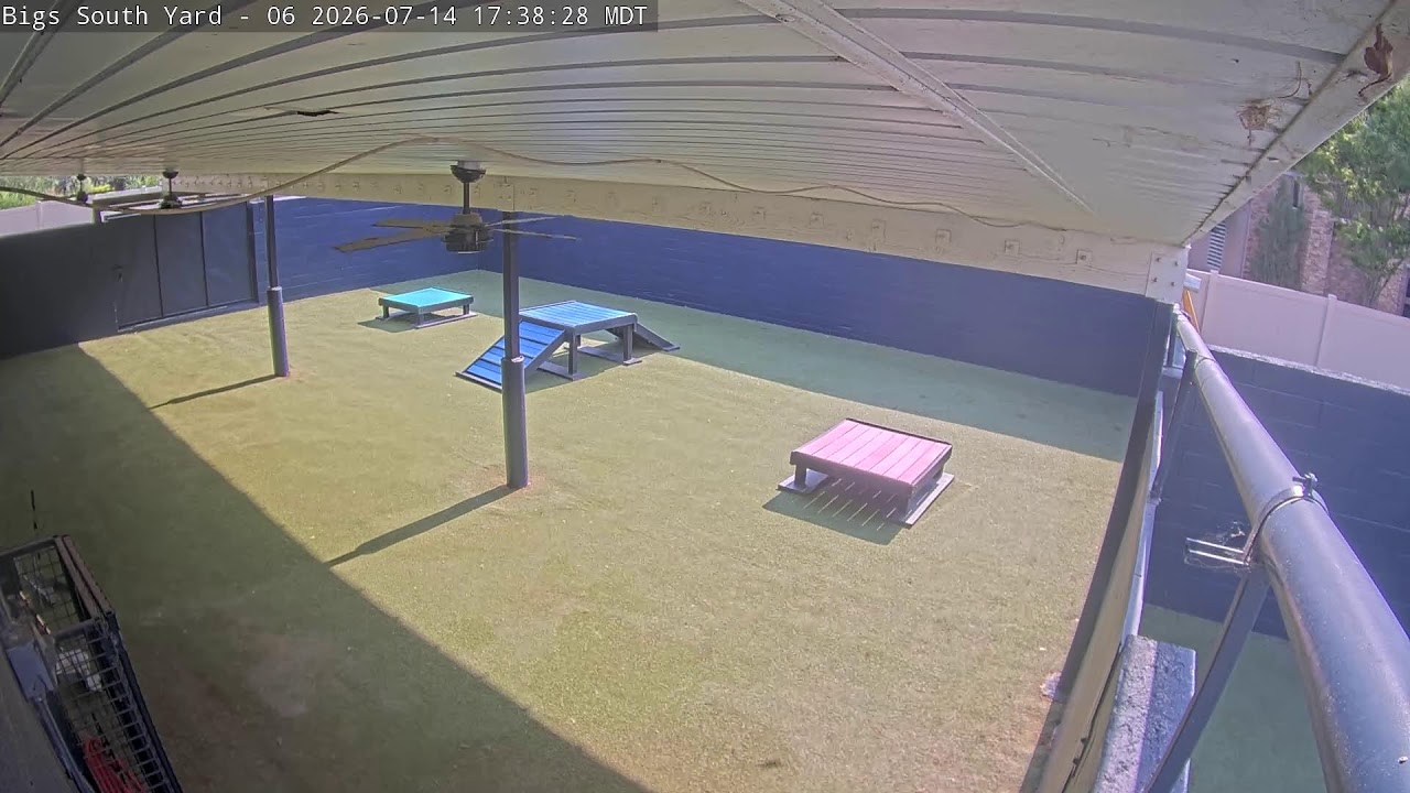 Live webcam view of DogMode South Yard