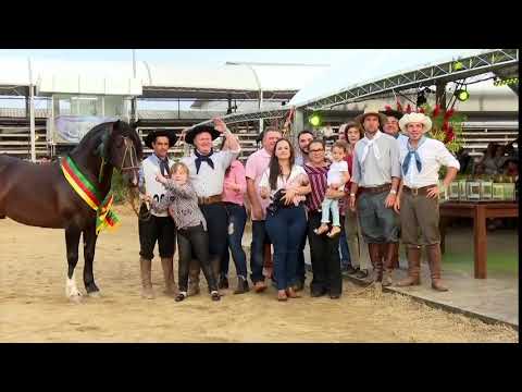 Querendon Do Recanto Crioulo