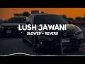 Lush Jawani (Slowed + Reverb) Varinder Brar 🎧