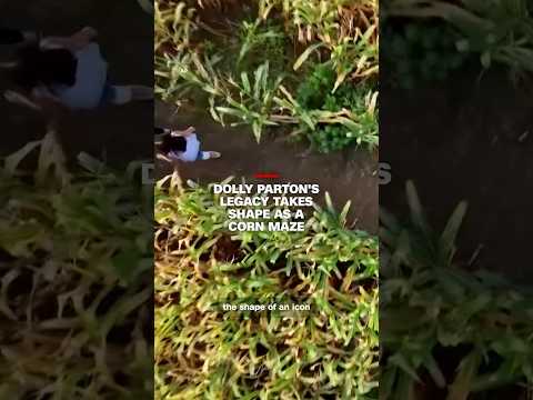 Dolly Parton's legacy takes shape as a corn maze
