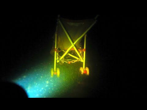 One Last Dive