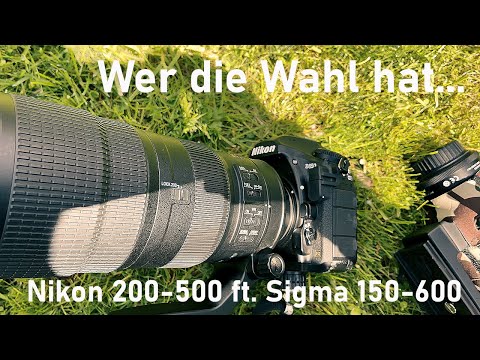 Wer die Wahl hat... | Sigma 150-600mm oder Nikon 200-500mm? | Ich benötige ein Wildlife-Objektiv