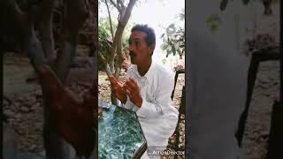 قصة زغيدا مع الجن