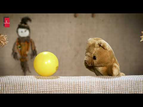 Spectacol de teatru pentru copii - "Povestea gogoașei" - secvențe, teatru online, teatru de păpuși