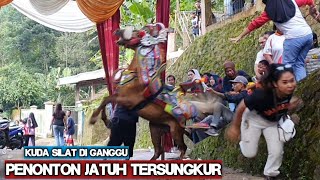 Download lagu Bengal horse - The attraction of the Bengal horse falling down mp3