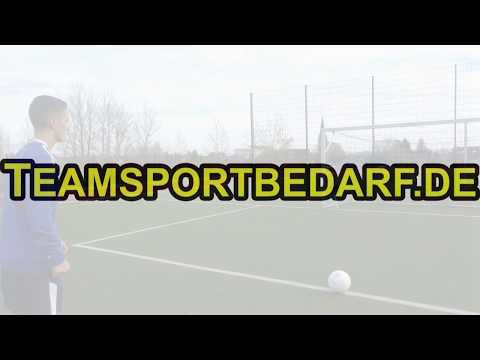 V-MAXX Sportradar - SPEED Check