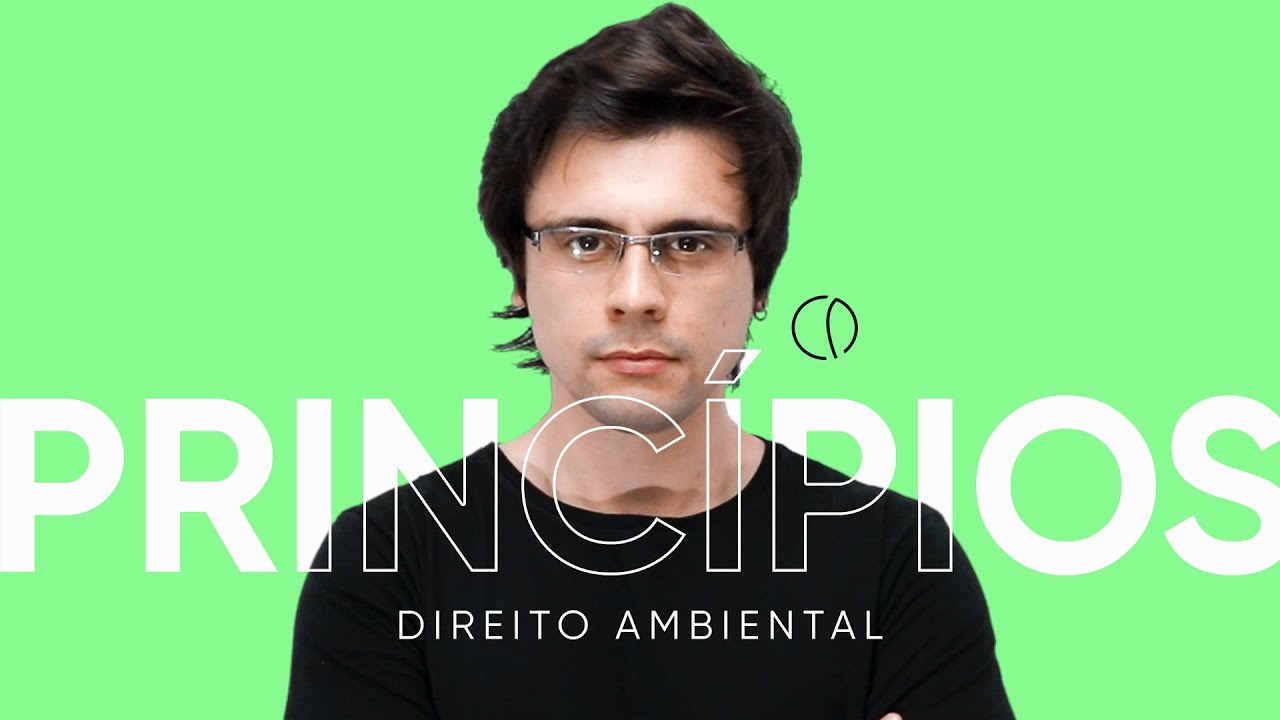 Princípios do Direito Ambiental