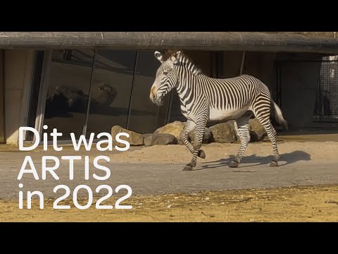 ARTIS leeft op in 2022