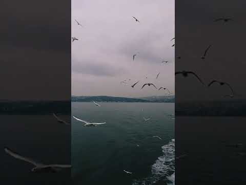 Passeio de balsa de Istambul para Bursa | Turquia | #SherazMirza #Shorts