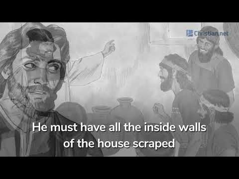 Leviticus 14:33-57: Cleansing From Defiling Molds | Bible Stories