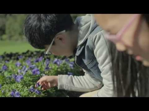 The Calyx at the Royal Botanic Garden Sydney