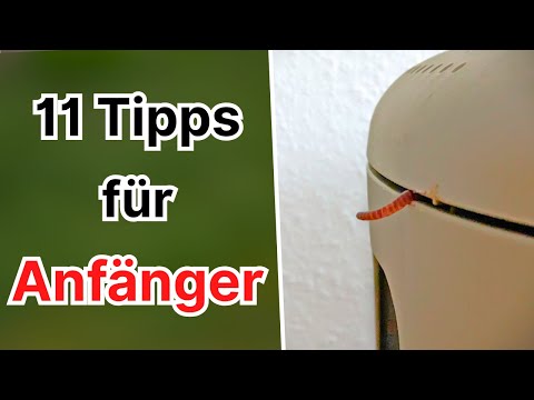 Wurmkompostierung - 11 Einsteiger Tipps
