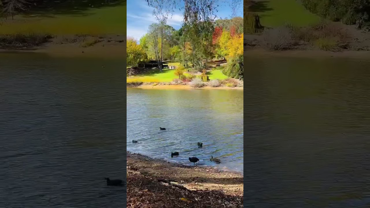 YouTube Short thumbnail