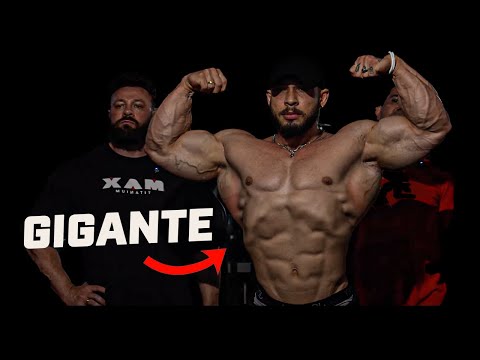 RAMON'S SHAPE 19 WEEKS AWAY FROM OLYMPIA 2025