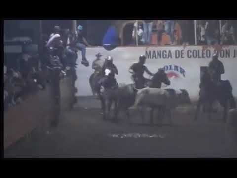 Coleo en montalban Carabobo 2025 