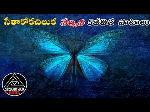 LIFE LESSONS WE CAN LEARN FROM A BUTTERFLY || Telugu motivation