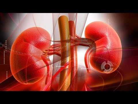 Stopa cukru we krwi u mężczyzn po 50 latach leczenia Krzywa cukier insulina