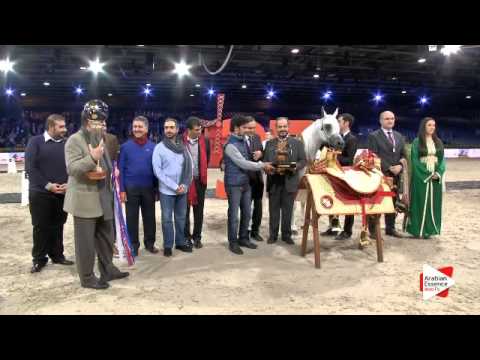 1st place-N.64 SALWA AL ZOBAIR - Paris 2015 - Senior Females Championship (Class CM9)