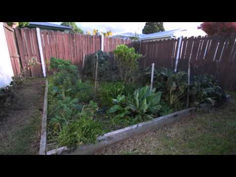 SOLD - 79 Mead Street, Avondale - Matt O'Rourke and Ryan Harding