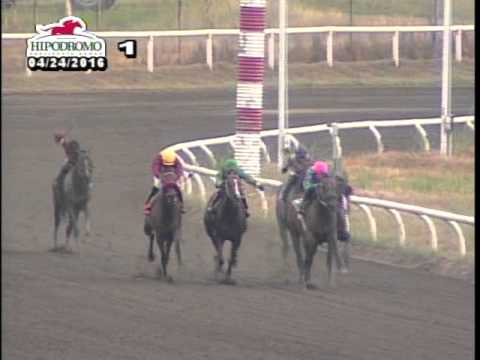 1RA CARRERA DEL DOMINGO 24 DE ABRIL DE 2016 HPR