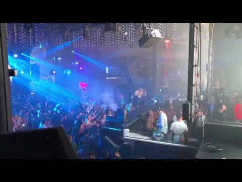 Alan walker (miami story)