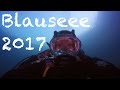 Diving - Schweiz 2017 - Tauchen im Blausee - Europa