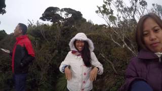 preview picture of video 'Mt. Kitanglad Mt. Dulang Dulang Climb'