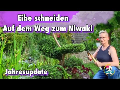 Eibe schneiden ( Niwaki ) Big Bonsai Eibe