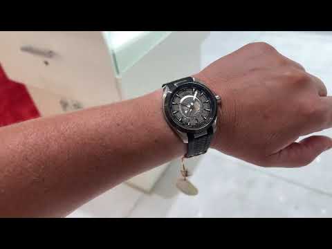 OMEGA Aqua Terra World Timer - titanium