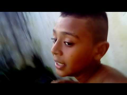 O face nos atacou na quarentena