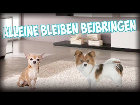 Was gribok die Nägel der Beine nicht mag Die Salbe von gribka die Häute bei den Kindern